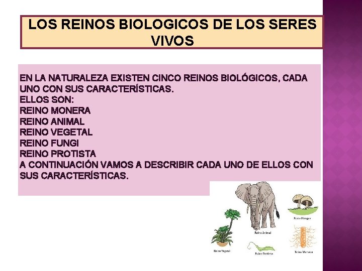 LOS REINOS BIOLOGICOS DE LOS SERES VIVOS EN LA NATURALEZA EXISTEN CINCO REINOS BIOLÓGICOS,