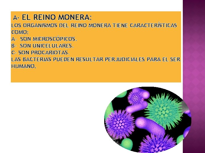 A- EL REINO MONERA: LOS ORGANISMOS DEL REINO MONERA TIENE CARACTERÍSTICAS COMO: A- SON