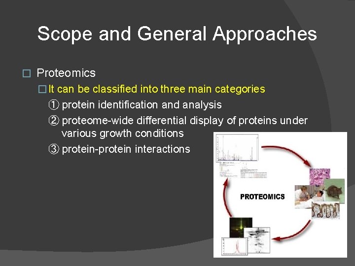 Scope and General Approaches � Proteomics � It can be classified into three main
