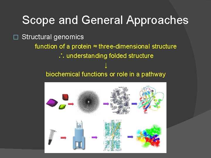Scope and General Approaches � Structural genomics function of a protein ≈ three-dimensional structure