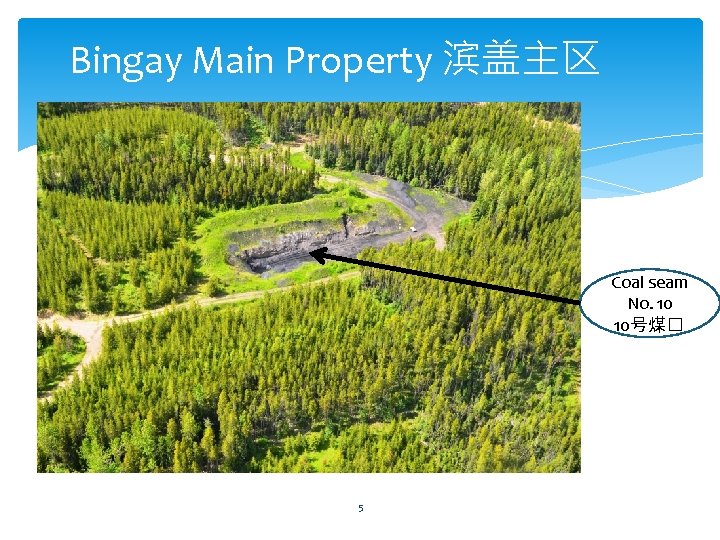 Bingay Main Property 滨盖主区 Coal seam No. 10 10号煤� 5 