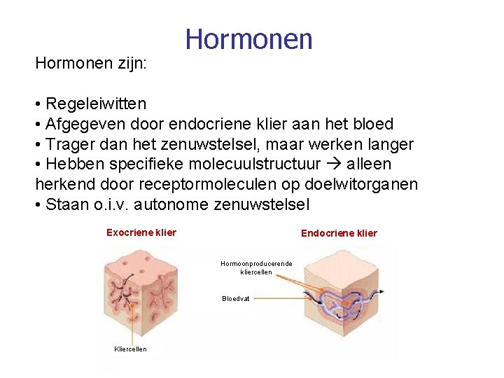 Hormonen zijn: Hormonen • Regeleiwitten • Afgegeven door endocriene klier aan het bloed •