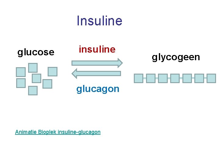 Insuline glucose insuline glucagon Animatie Bioplek insuline-glucagon glycogeen 