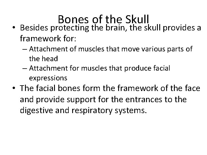 Bones of the Skull • Besides protecting the brain, the skull provides a framework