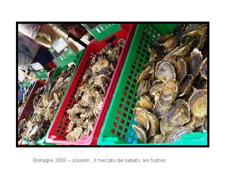 Bretagne 2008 – Josselin , il mercato del sabato: les huitres 