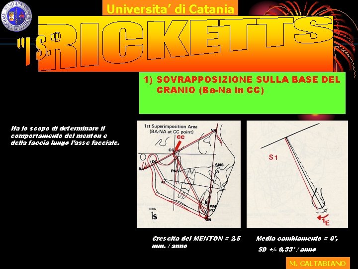 Universita’ di Catania 1) SOVRAPPOSIZIONE SULLA BASE DEL CRANIO (Ba-Na in CC) Ha lo