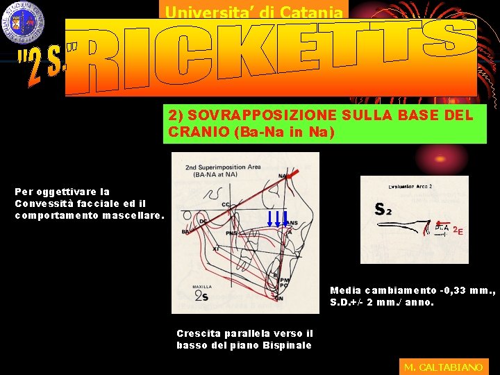 Universita’ di Catania 2) SOVRAPPOSIZIONE SULLA BASE DEL CRANIO (Ba-Na in Na) Per oggettivare