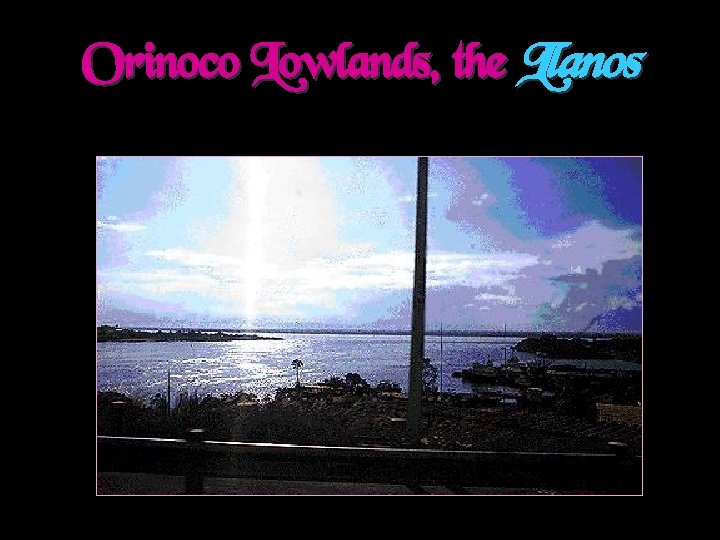 Orinoco Lowlands, the Llanos 