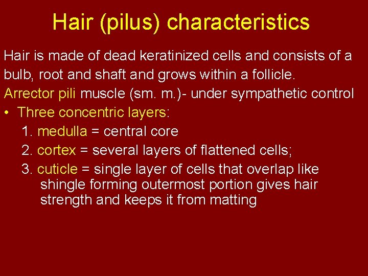Hair (pilus) characteristics Hair is made of dead keratinized cells and consists of a
