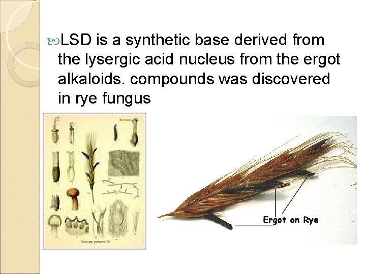  LSD is a synthetic base derived from the lysergic acid nucleus from the