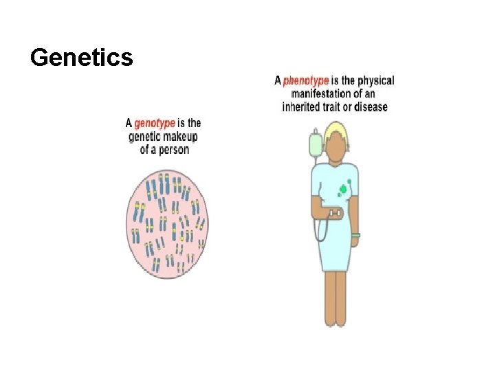 Genetics 