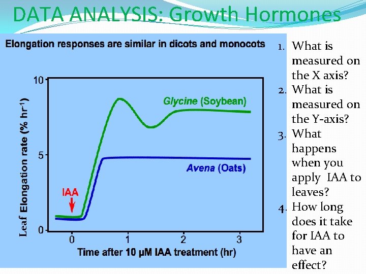 DATA ANALYSIS: Growth Hormones Leaf �Chart 1. What is measured on the X axis?