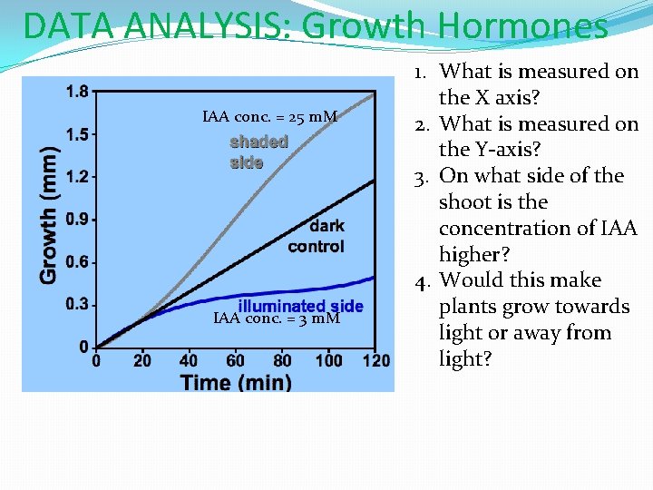 DATA ANALYSIS: Growth Hormones IAA conc. = 25 m. M �Chart 1. IAA conc.