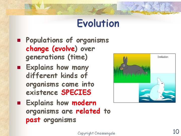 Evolution n Populations of organisms change (evolve) over generations (time) Explains how many different