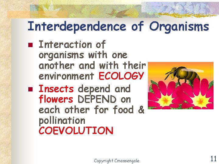 Interdependence of Organisms n n Interaction of organisms with one another and with their