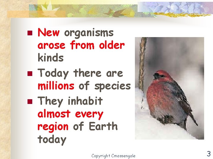 n n n New organisms arose from older kinds Today there are millions of