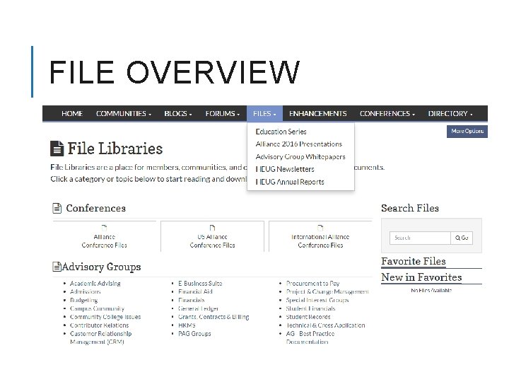 FILE OVERVIEW 