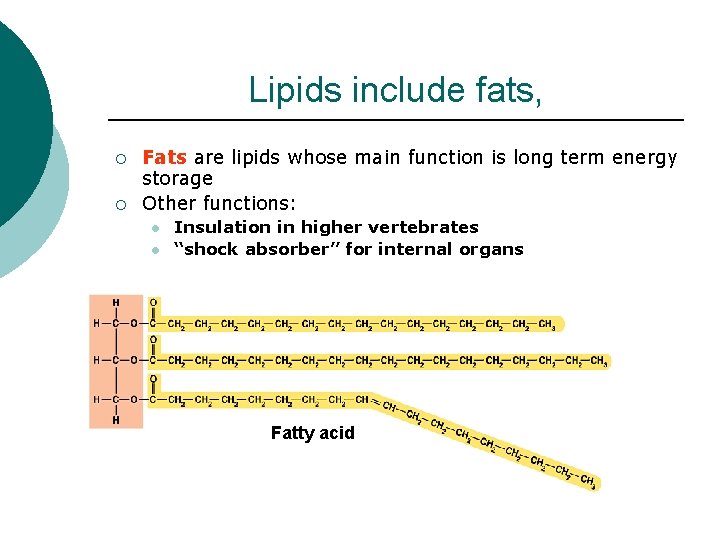 Lipids include fats, ¡ ¡ Fats are lipids whose main function is long term Lipids include fats, ¡ ¡ Fats are lipids whose main function is long term