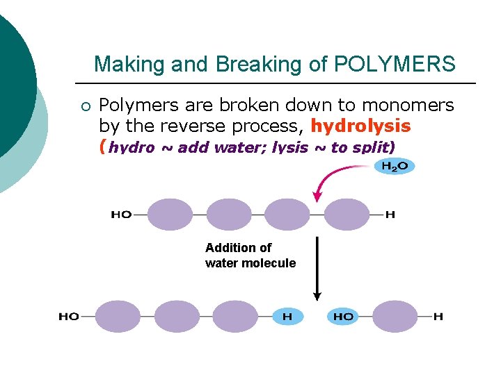 Making and Breaking of POLYMERS ¡ Polymers are broken down to monomers by the Making and Breaking of POLYMERS ¡ Polymers are broken down to monomers by the