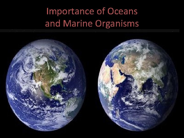 Importance of Oceans and Marine Organisms • Oceans cover 71% of the earths surface.