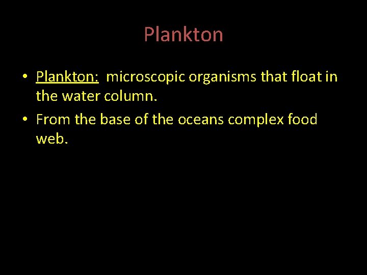 Plankton • Plankton: microscopic organisms that float in the water column. • From the