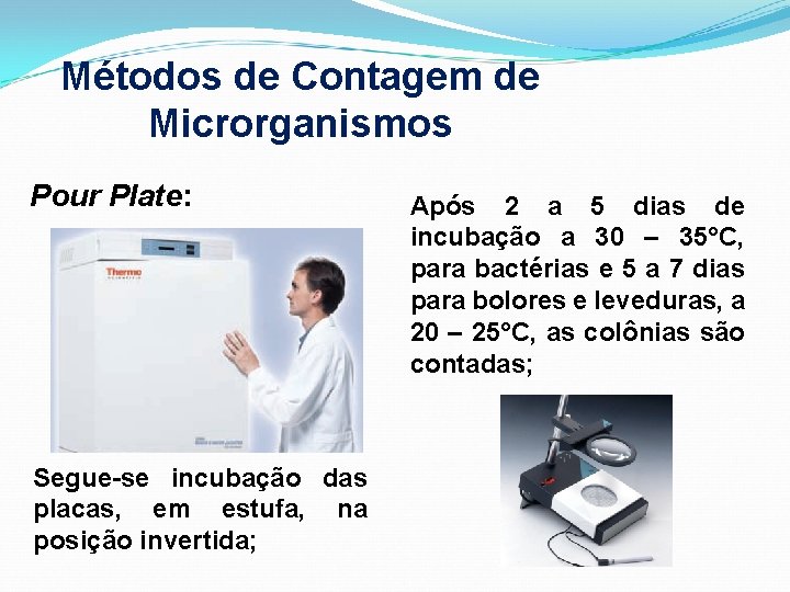 Métodos de Contagem de Microrganismos Pour Plate: Segue-se incubação das placas, em estufa, na