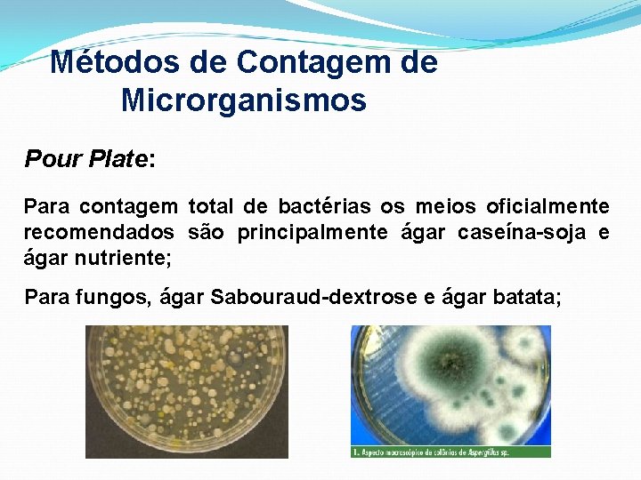 Métodos de Contagem de Microrganismos Pour Plate: Para contagem total de bactérias os meios