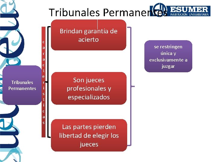 Tribunales Permanentes c a r a c t e r í s t i