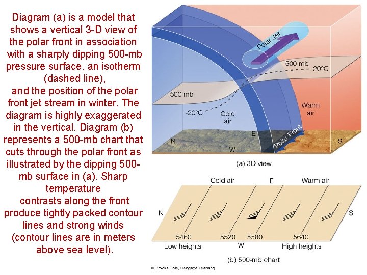 Diagram (a) is a model that shows a vertical 3 -D view of the