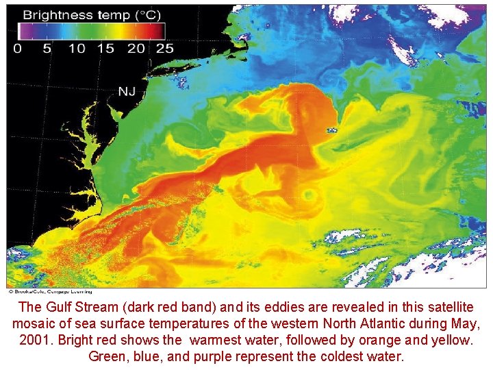 The Gulf Stream (dark red band) and its eddies are revealed in this satellite