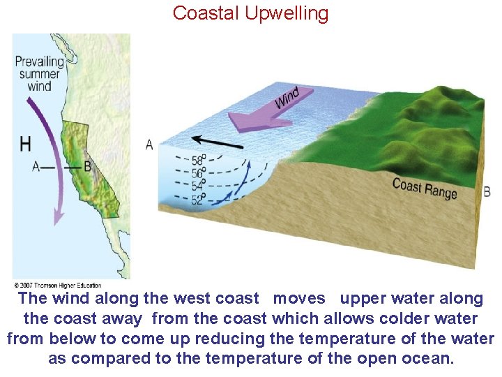Coastal Upwelling The wind along the west coast moves upper water along the coast