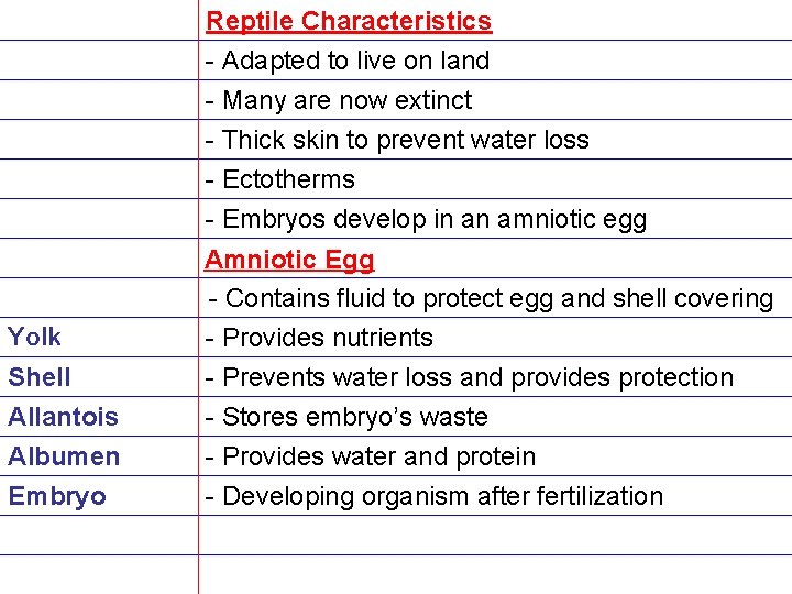 Reptile Characteristics - Adapted to live on land - Many are now extinct -