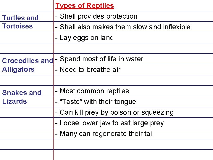 Turtles and Tortoises Types of Reptiles - Shell provides protection - Shell also makes