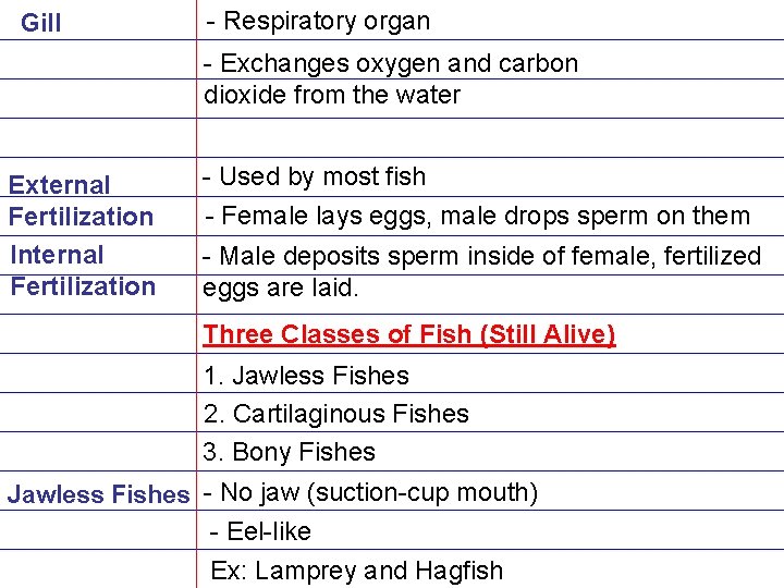 Gill - Respiratory organ - Exchanges oxygen and carbon dioxide from the water External