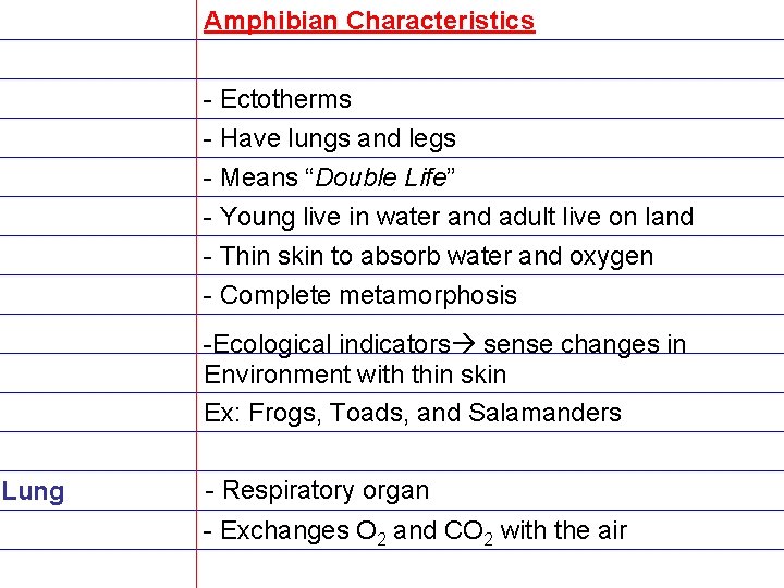 Amphibian Characteristics - Ectotherms - Have lungs and legs - Means “Double Life” -