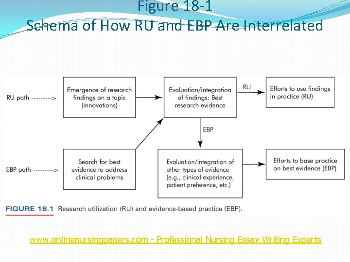 Figure 18 -1 Schema of How RU and EBP Are Interrelated www. onlinenursingpapers. com