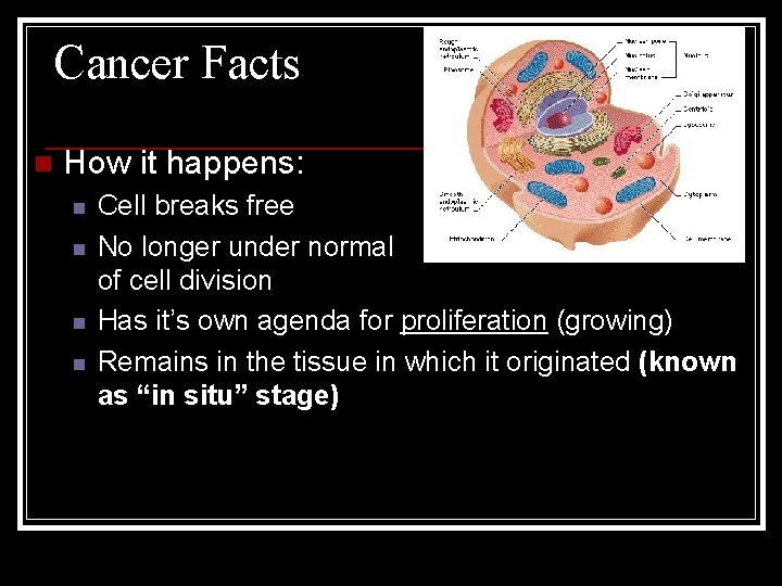 Cancer Facts n How it happens: n n Cell breaks free No longer under
