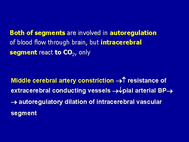 Both of segments are involved in autoregulation of blood flow through brain, but intracerebral