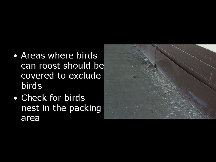 Birds/Wildlife • Areas where birds can roost should be covered to exclude birds •