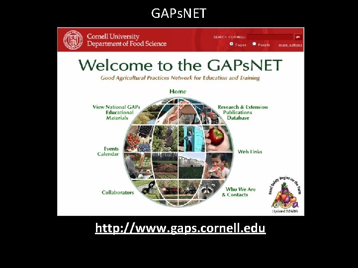 GAPs. NET http: //www. gaps. cornell. edu 