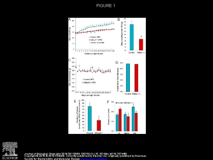 FIGURE 1 Journal of Biological Chemistry 2016 29113063 -13075 DOI: (10. 1074/jbc. M 115.