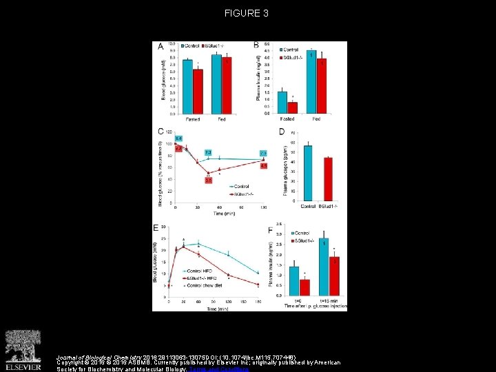 FIGURE 3 Journal of Biological Chemistry 2016 29113063 -13075 DOI: (10. 1074/jbc. M 115.