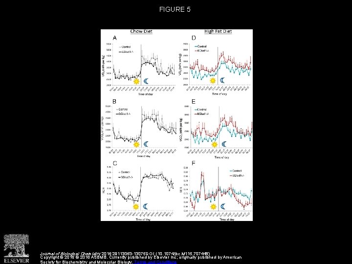 FIGURE 5 Journal of Biological Chemistry 2016 29113063 -13075 DOI: (10. 1074/jbc. M 115.