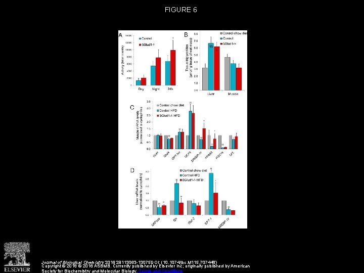 FIGURE 6 Journal of Biological Chemistry 2016 29113063 -13075 DOI: (10. 1074/jbc. M 115.