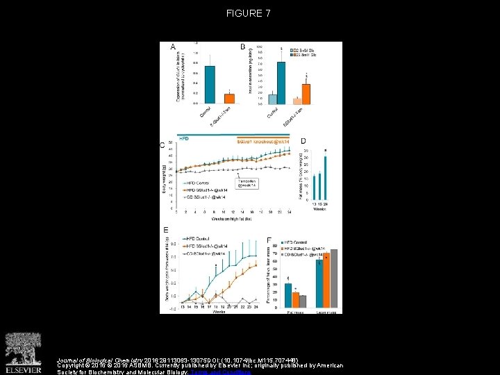 FIGURE 7 Journal of Biological Chemistry 2016 29113063 -13075 DOI: (10. 1074/jbc. M 115.