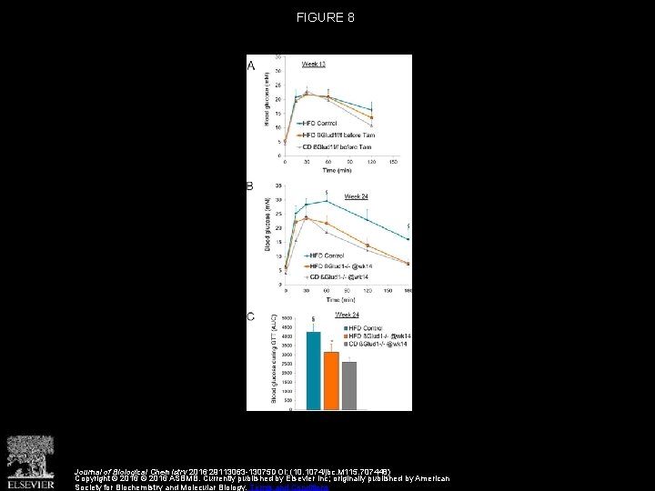 FIGURE 8 Journal of Biological Chemistry 2016 29113063 -13075 DOI: (10. 1074/jbc. M 115.