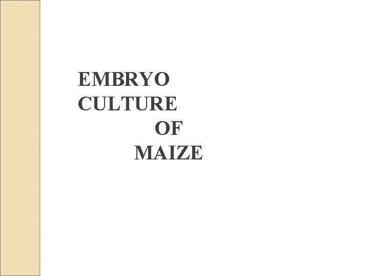 EMBRYO CULTURE OF MAIZE 