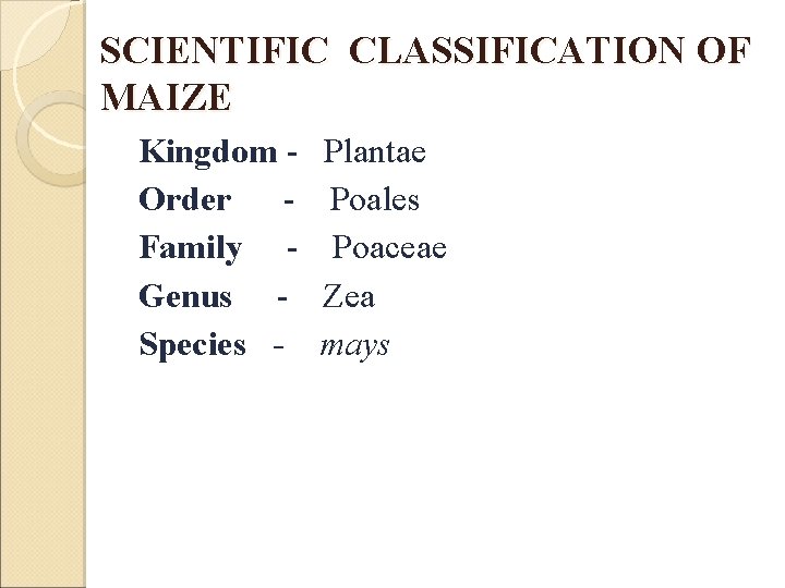 SCIENTIFIC CLASSIFICATION OF MAIZE Kingdom Order Family Genus Species - Plantae Poales Poaceae Zea