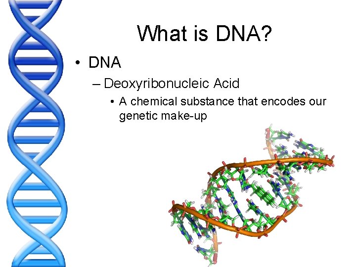 What is DNA? • DNA – Deoxyribonucleic Acid • A chemical substance that encodes