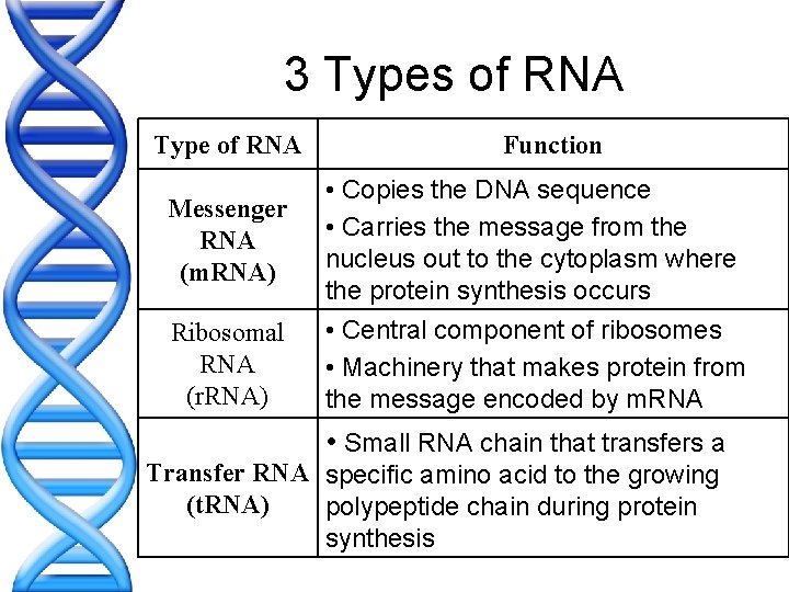 3 Types of RNA Type of RNA Messenger RNA (m. RNA) Ribosomal RNA (r.